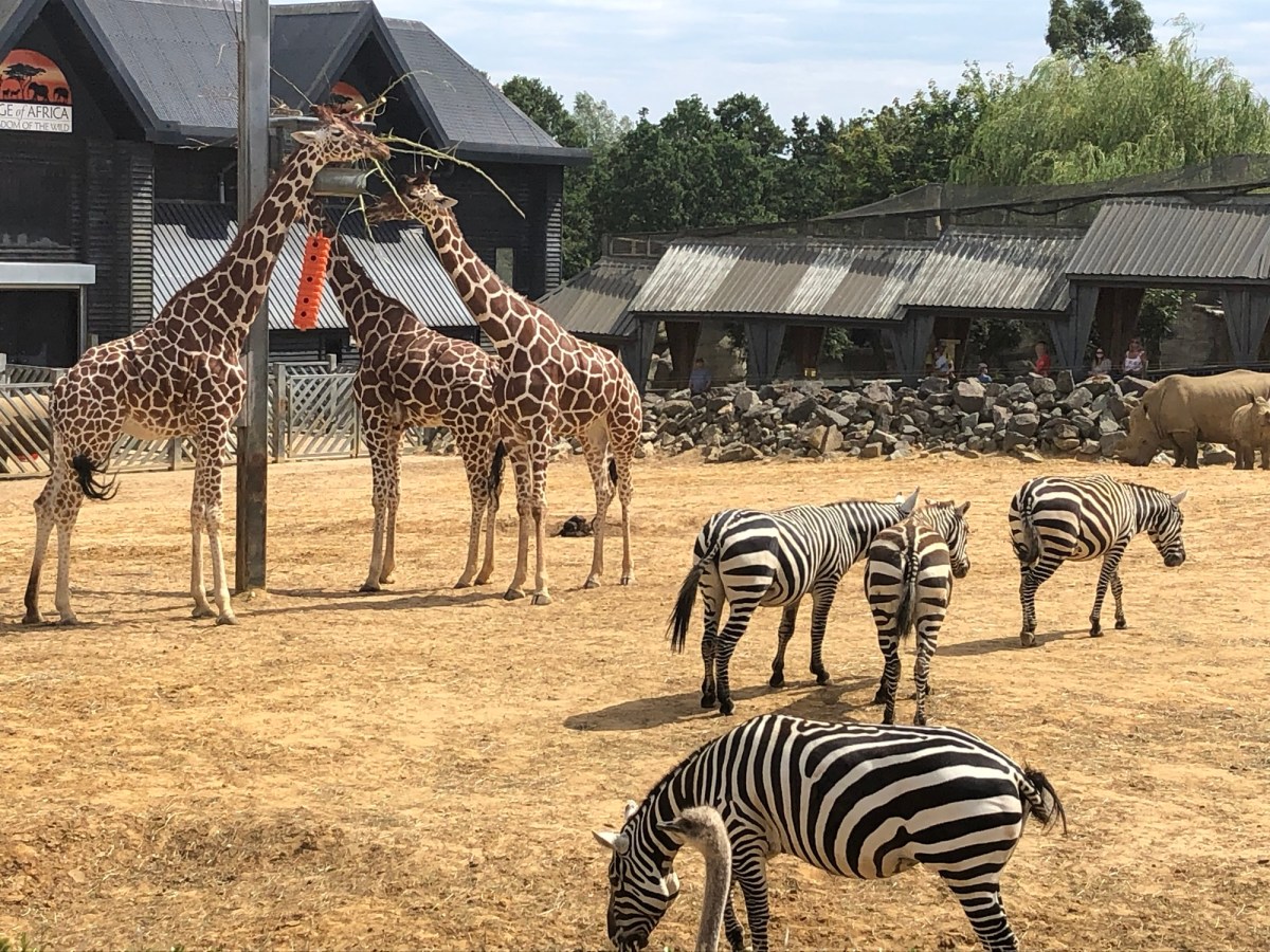 Pre-School’s Out: Activities to Enjoy Before the Summer Crowds&nbsp;Arrive